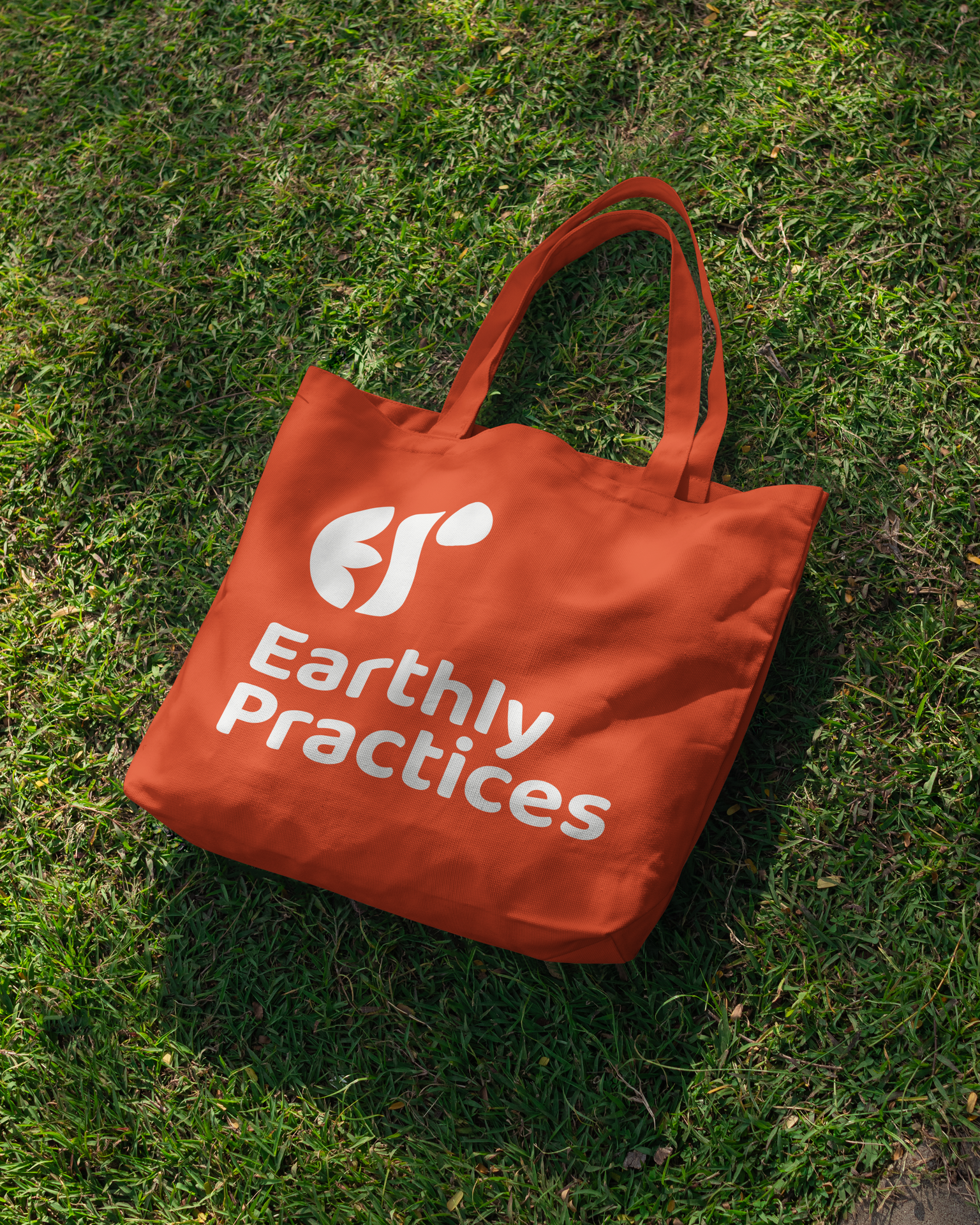 Earthly Practices